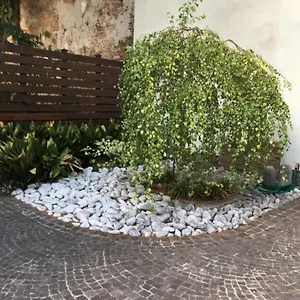 La Betulla Appartamento